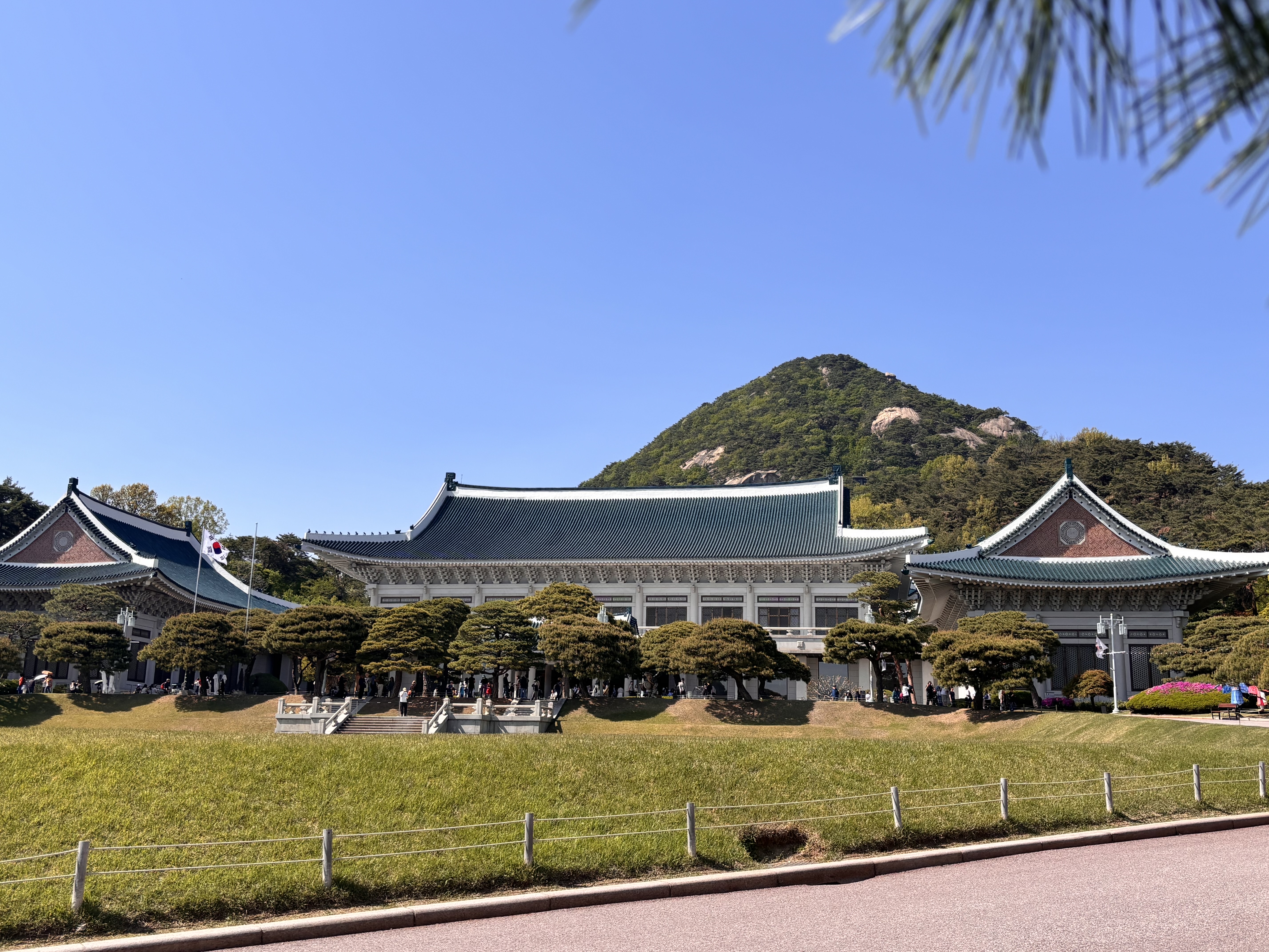 青瓦台
